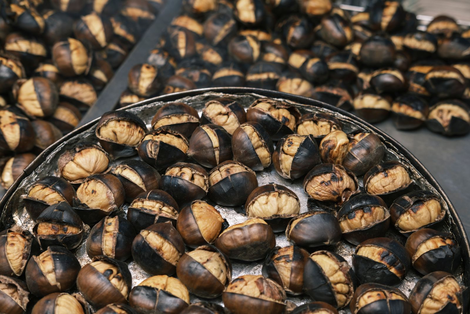 Chestnut